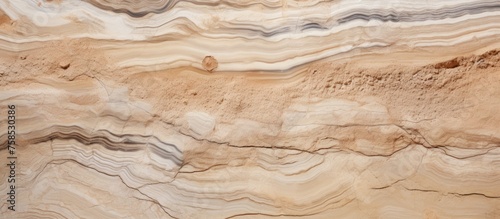 A closeup image capturing the intricate pattern of beige and brown wood with a marble texture. The hardwood formation resembles bedrock outcrop in a landscape photo