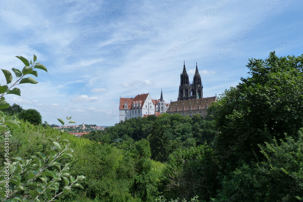 Blick zum Burgberg in Meißen mit Meißener Dom und Schloss