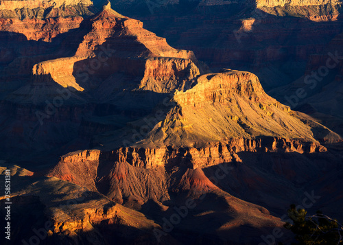 Sunrise in the bottom of the Grand Canyon