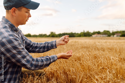 Farmers hands pour grain into field from hand to hand. Growth nature harvest. Agriculture farm. © maxbelchenko