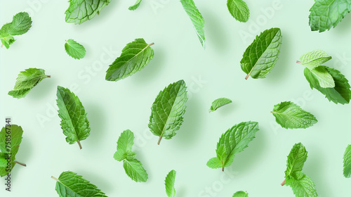 Scattered mint leaves on a vibrant background, evoking freshness. Background.