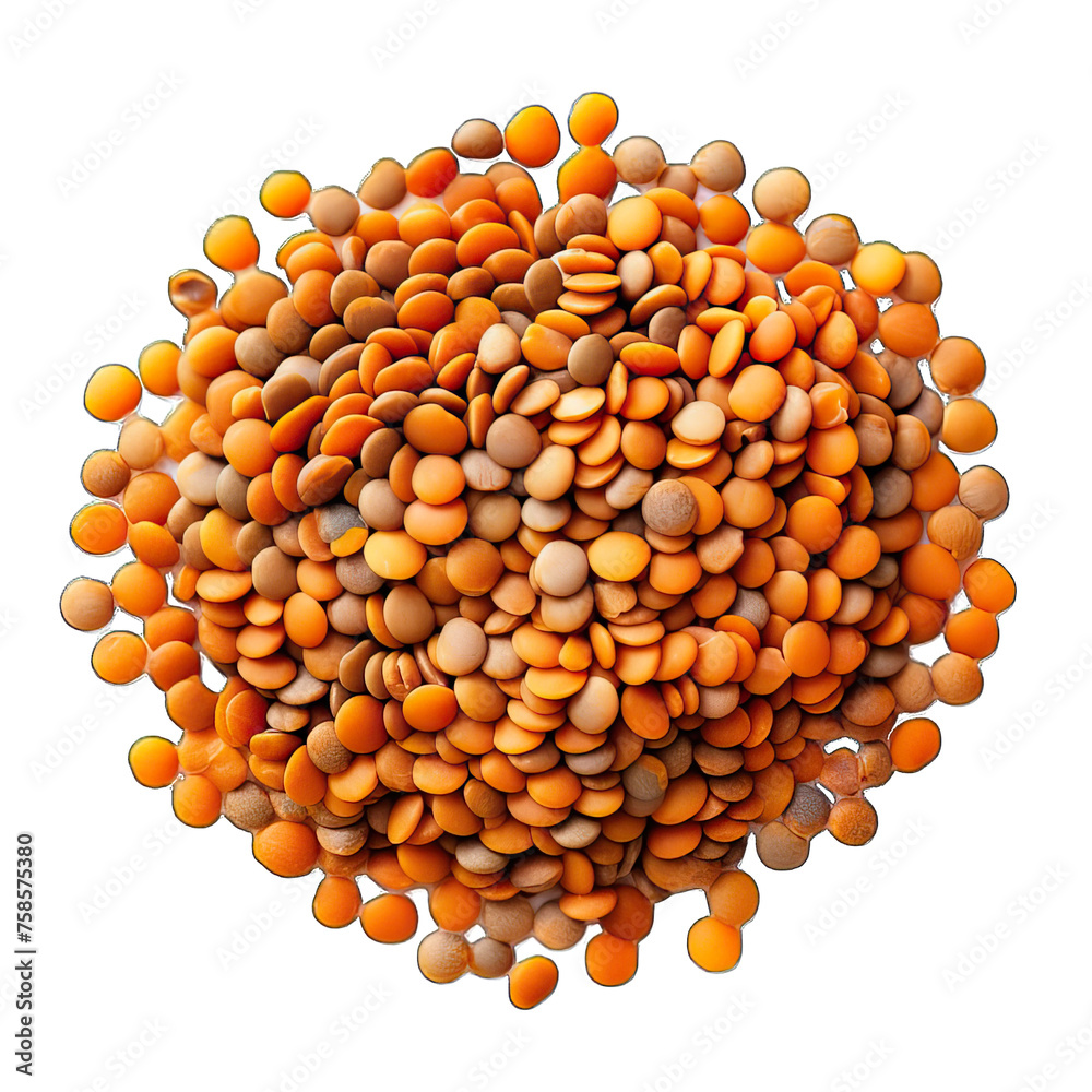 lentils isolated on white background lentils isolated on white background