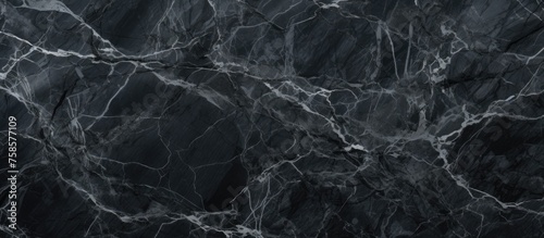 A closeup of black marble texture resembling the dark, rich soil of a forest floor, with a monochrome pattern reminiscent of twisted wood twigs