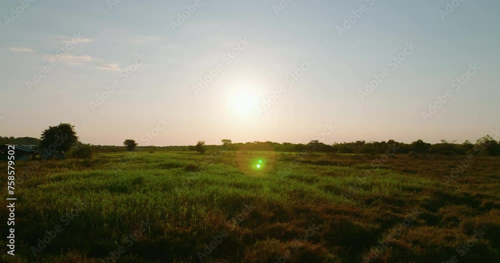 Sunset over tranquil Arauca fields, warm tones with greenery, expansive outdoor scene, golden hour Sunset over tranquil Arauca fields, warm tones with greenery, expansive outdoor scene, golden hour