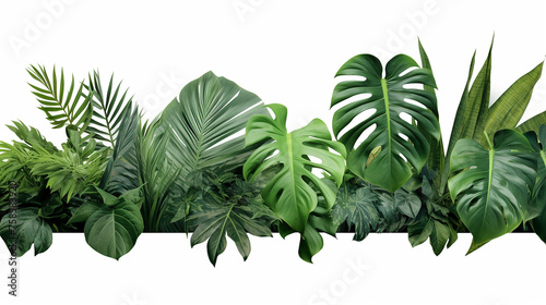 white background with horizontal artwork composition of trendy tropical green leaves