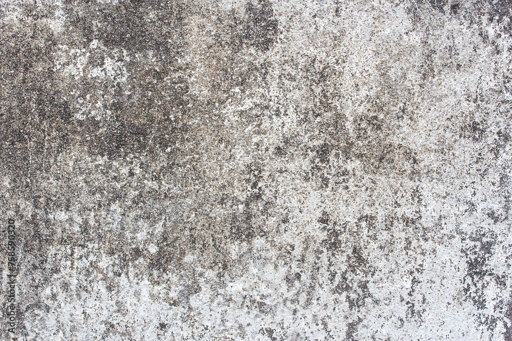 Obraz premium Old cement wall grunge background