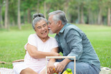asian senior man kissing senior woman in the park
