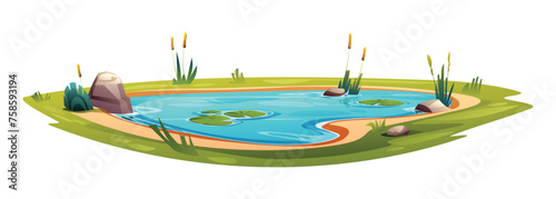 Natural pond cartoon vector illustration isolated on white background