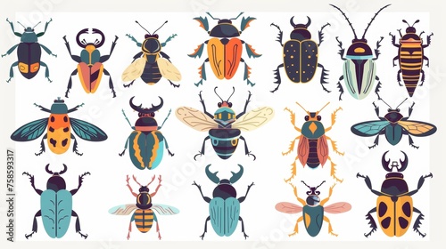Species of insects. Colorado, sabertooth longhorn and ground beetles. Winged fauna with spots, stripes, horns, antennae. Flat modern illustrations isolated on white. photo