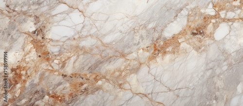 A detailed shot showcasing the intricate pattern of white and brown marble  reminiscent of twigs  grass  and soil. This natural material is perfect for flooring with its freezing woodlike texture