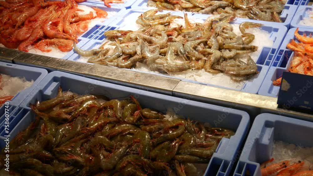 Assorted fresh prawns and shrimp seafood on ice, showcased for culinary delights, perfect for seafood market themes and gourmet cooking segments Assorted fresh prawns and shrimp seafood on ice, showcased for culinary delights, perfect for seafood market themes and gourmet cooking segments