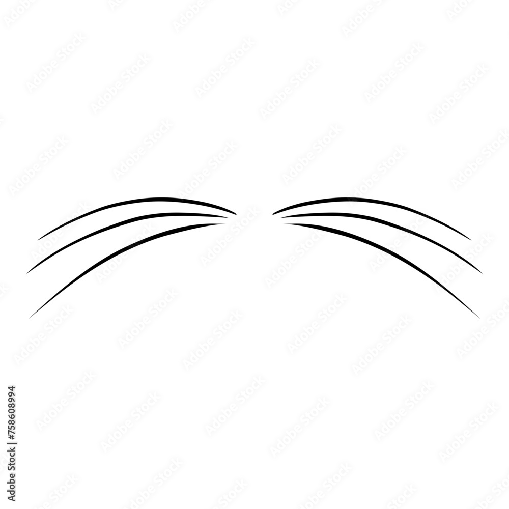 Cat Whiskers Cat Whiskers