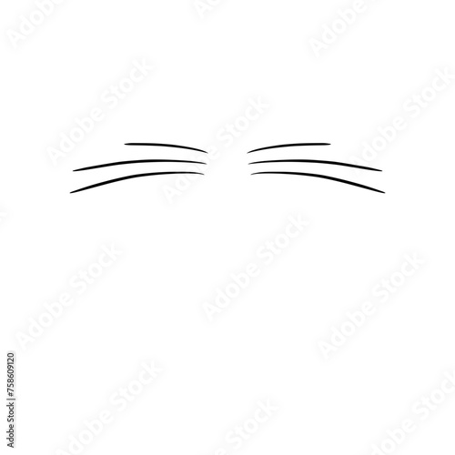 Cat Whiskers 
