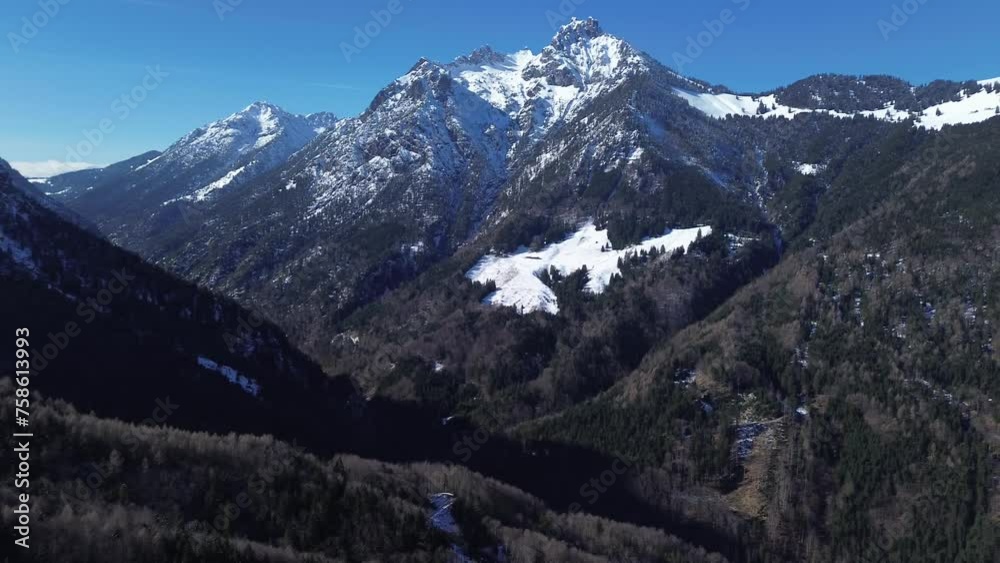 Aerial view of pine forest with snow capped mountains in background on a beautiful sunny day with clear blue sky Aerial view of pine forest with snow capped mountains in background on a beautiful sunny day with clear blue sky