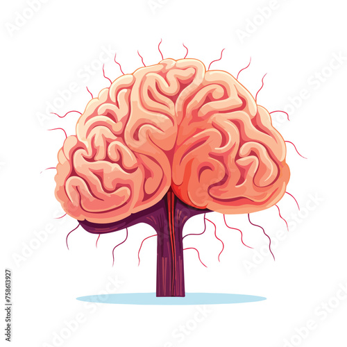 An illustration of the human brain flat vector 