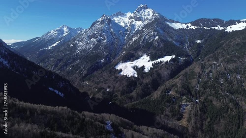 Wallpaper Mural Aerial view of pine forest with snow capped mountains in background on a beautiful sunny day with clear blue sky Torontodigital.ca