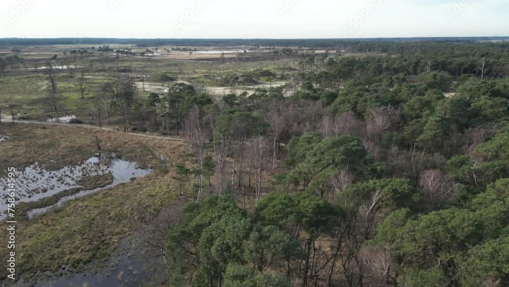 Kalmthoudse heide
panning over woods revealing wetlands and see group of people walking below