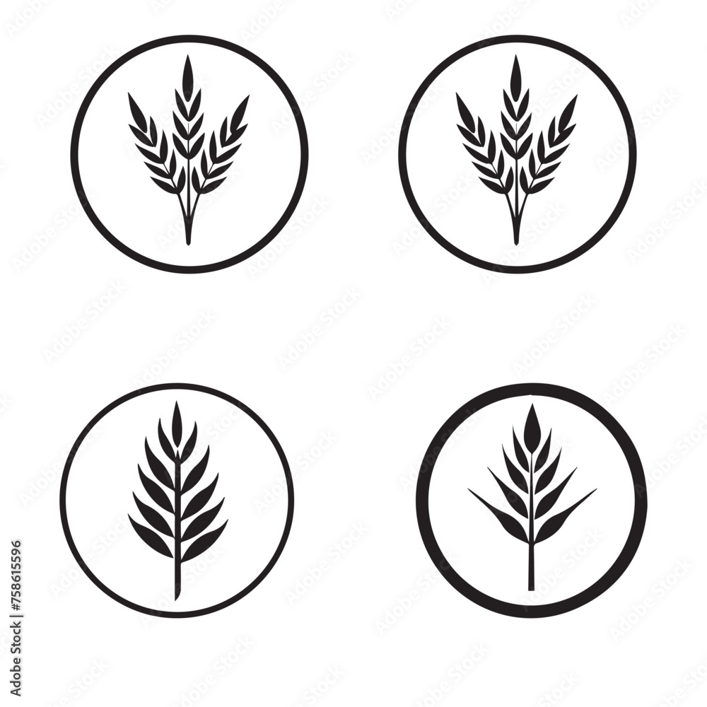 Agriculture wheat Logo Template vector icon design. Vector illustration.