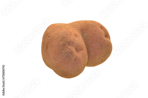 potato isolated on white background