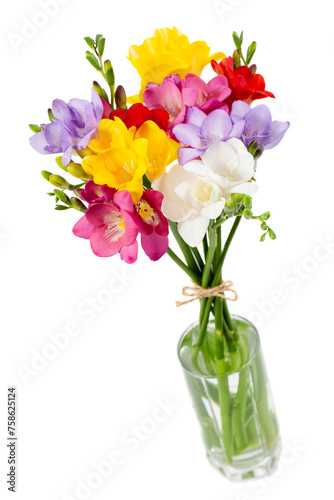 Blooming Freesia. Isolated on white background.