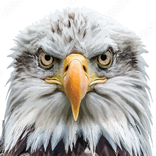 Bald Eagle Clipart Clipart isolated on white background