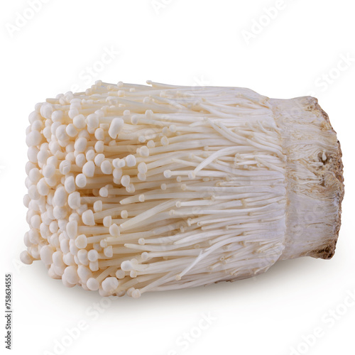Fresh golden needle mushroom or enoki isolated on a white background.