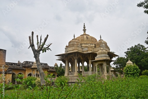 Majestic Royal Cenotaphs Amidst Verdant Greenery Under Cloudy Skies at Maharani Ki Chhatri ,Jaipur, Rajasthan, India