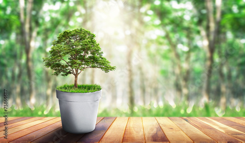tree growing on a pot with sunshine in nature. saving energy and eco concept. Copy space. New life, eco, sustainable living, zero waste, plastic free, earth day, investment concept. Gardening time.