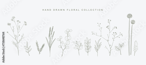 Handdrawn Line Art of a Set of Popular Natural Wedding Floral Element 