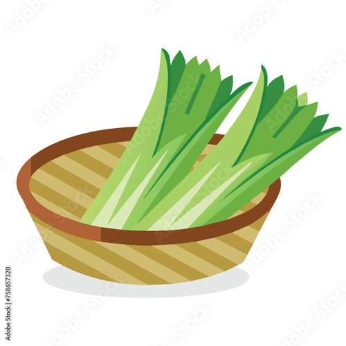 Leek in busket Green Leafy Vegetables vector illustration