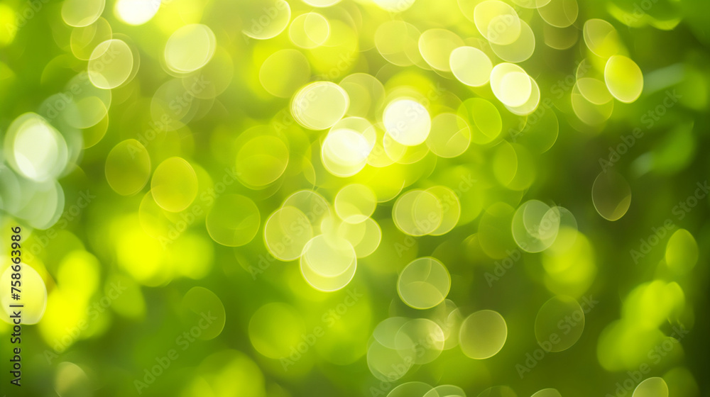 Sunny abstract green nature background, selective focus. Sunny abstract green nature background, selective focus.