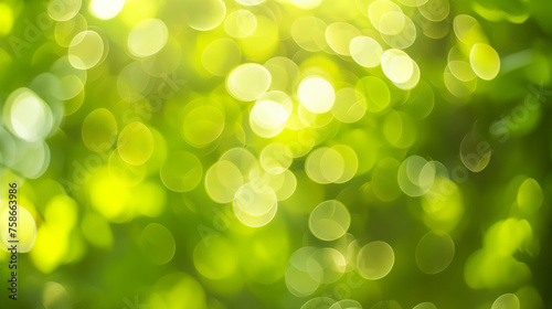 Sunny abstract green nature background, selective focus.