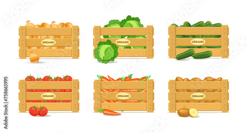 Boxes with vegetables. Carrots, potatoes, tomatoes, cucumbers, onions, cabbage. Vector illustration