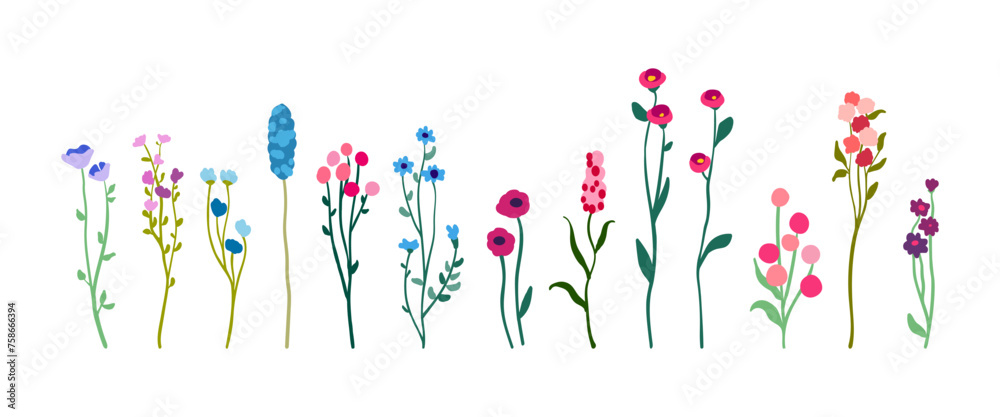 A set of delicate graceful wildflowers on tall stems with foliage. Simple floral elements. Wild growing plants isolated on white background. Flat vector illustration. A set of delicate graceful wildflowers on tall stems with foliage. Simple floral elements. Wild growing plants isolated on white background. Flat vector illustration.