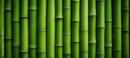 green bamboo sticks in a row  wallpapers