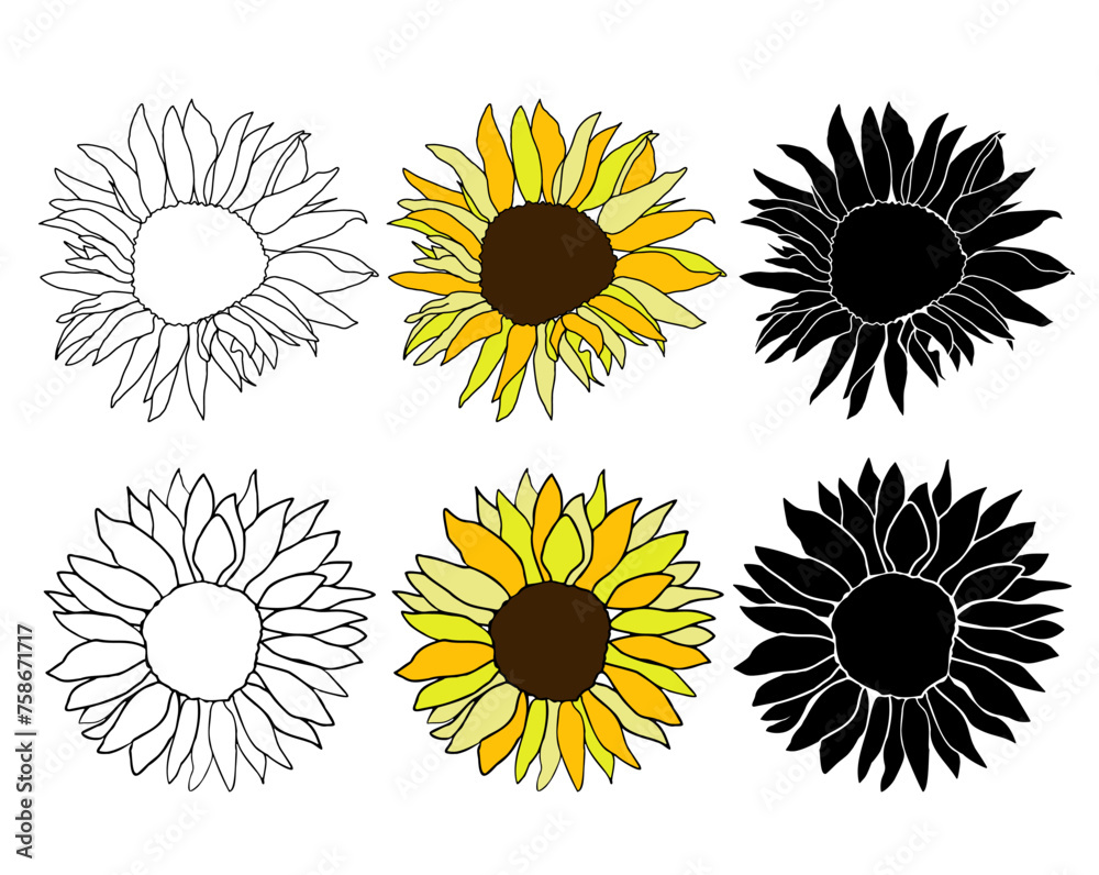 Sunflower head hand drawn elements set for design. Silhouette, line art black ink and colorful flower. Vector clip art for logo, coloring page, isolate on white background Sunflower head hand drawn elements set for design. Silhouette, line art black ink and colorful flower. Vector clip art for logo, coloring page, isolate on white background