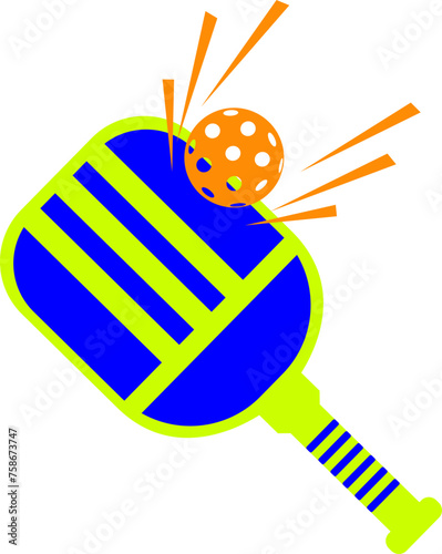 Pickleball Paddle