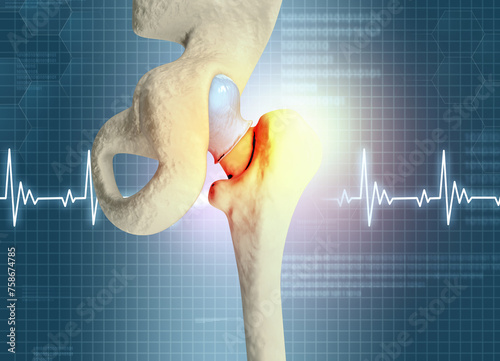 Human hip joint anatomy on scientific background. 3d illustration. photo