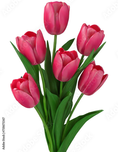 Bouquet of pink tulips