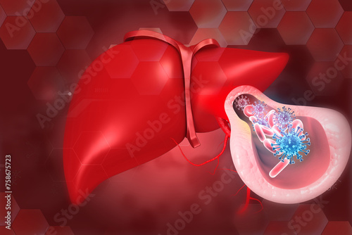 Fotografie Human liver anatomy with hepatitis b virus. 3d illustration..