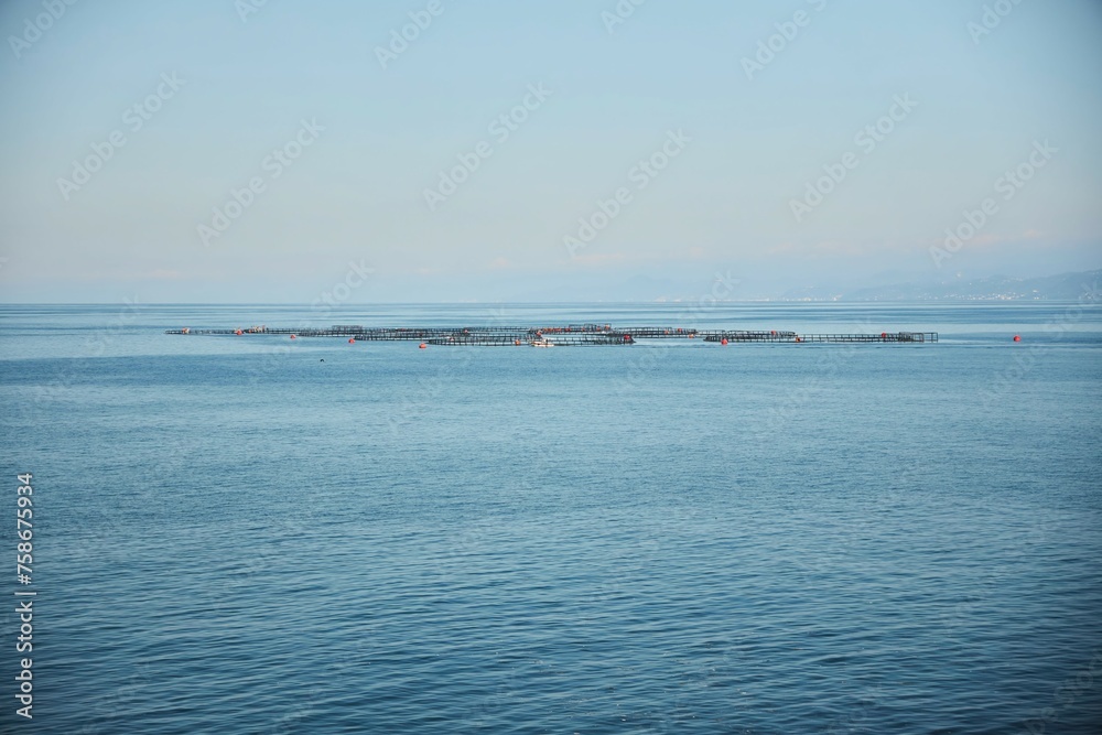 Large fish farms in the sea or ocean. Breeding fish for food.