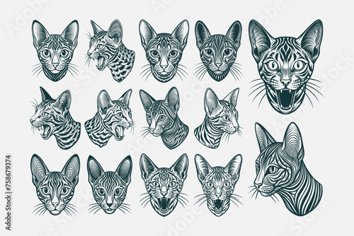 Tshirt illustration of meowing egyptian mau cat head design set