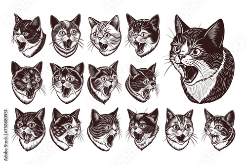 Side view meowing exotic shorthair cat head illustration design set