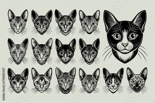 Portrait of colorpoint shorthair cat face illustration design set