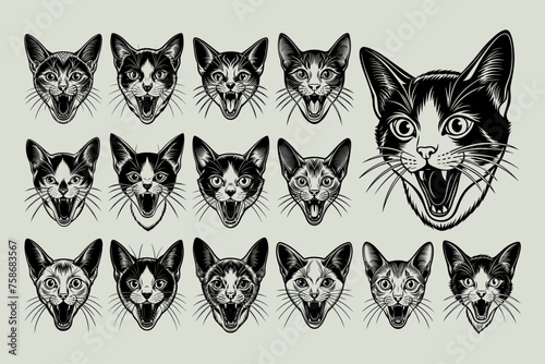 Illustration of meowing colorpoint shorthair cat head design set