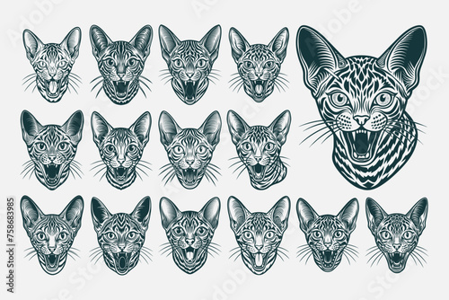 Tshirt illustration of meowing egyptian mau cat head design set