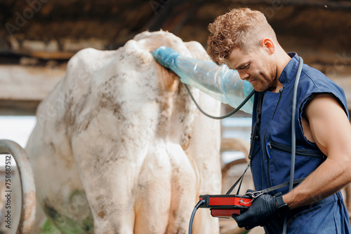 Veterinarian man with ultrasound device checking if cow is pregnant in cowshed on farm. Concept artificial insemination of cattle