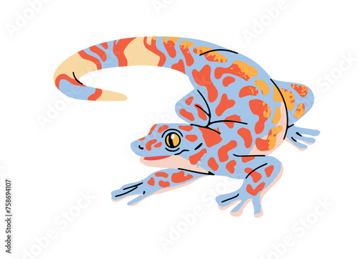 Tokay gecko with colourful patterned skin. Little exotic lizard, reptilian. Cute small reptile of jungle. Rainforest fauna. Tropical terrarium animal. Flat isolated vector illustration on white