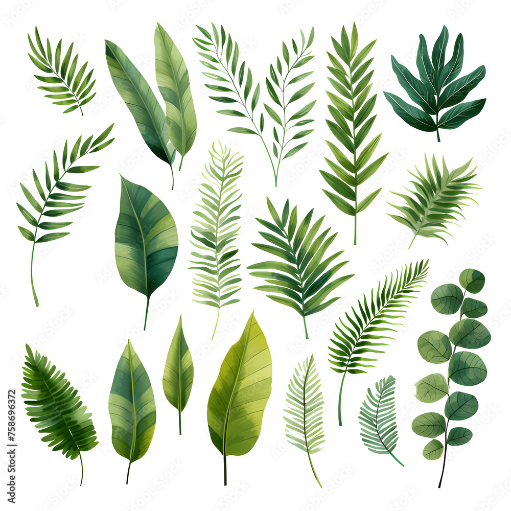 Set of tropical leaves, vector, watercolor, variety, ornamental, transparent background - obrazy, fototapety, plakaty 