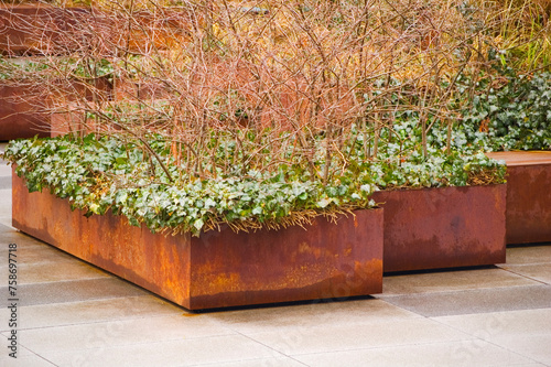 Green plants in corten flower pot.
